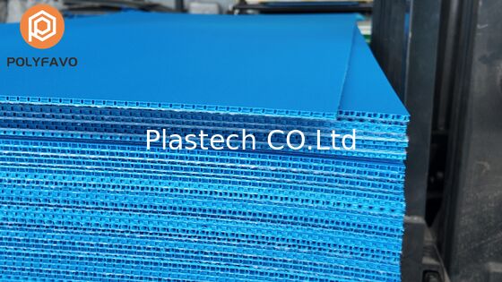 5mm 1600gsm pp Bouleurs de protection du sol Protécteurs de plancher Portection Board Honeycomb Board avec Feutre