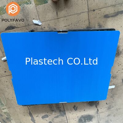 Bottle Tray Insert for Wine, Cellular Polypropylene Bottle Divider, Corrugated PP Sheet Packaging Tray, Reusable Recyclable